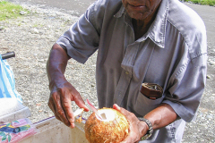 Coconut Vendor - zcosta-ricaIMG_6040