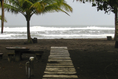 Walkway From Resort To Caribbean - zcosta ricaIMG_6151