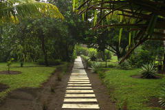 Walkway thru Gardens - zcosta ricaIMG_6152