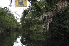 Turtle Beach Lodge - zcosta ricaIMG_6209