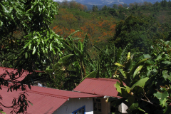 Countryside From Artists Village - zcosta ricaIMG_6276