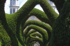 Topiary At Cathedral in Zarcero 2 - zcosta ricaIMG_6324