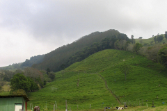 Hills Near Zarcero - zcosta ricaIMG_6343