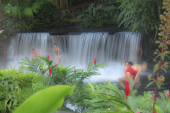 Bathing in Steam of Tabacon Hot Springs - zcosta ricaIMG_6381
