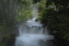 Steam of Tabacon Hot Springs - zcosta ricaIMG_6388