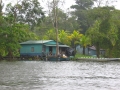 Tortuguero Canal - z-costa-ricaIMG_6093