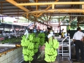 Banana Processing 1  - zcosta-rica- IMG_6023