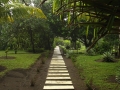 Walkway thru Gardens - zcosta ricaIMG_6152