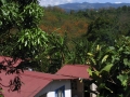 Countryside From Artists Village - zcosta ricaIMG_6276