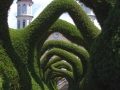 Topiary At Cathedral in Zarcero 2 - zcosta ricaIMG_6324