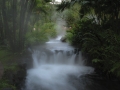 Steam of Tabacon Hot Springs - zcosta ricaIMG_6388