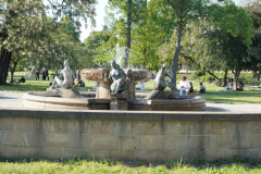 DSC02901