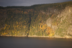 DSC09190