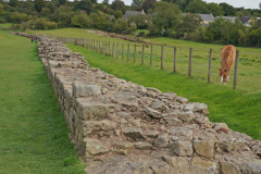 DSC07255