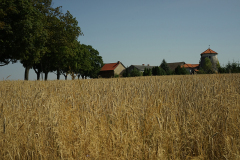 Wittenberg DSC03783