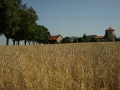 Wittenberg DSC03783