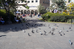 DSC03216