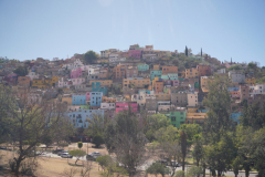 DSC01990