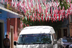 DSC02282