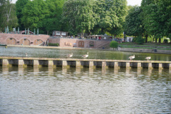 DSC01563