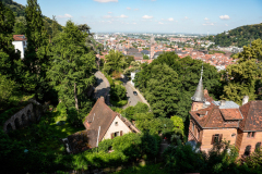 DSC1986