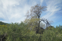 DSC01474