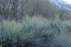 woDSC00251