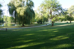 DSC03570
