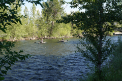 DSC05220