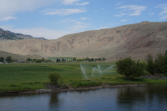 DSC05350