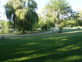 DSC03570