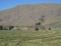 DSC04001