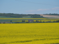 DSC06195
