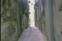 Alley Palermo