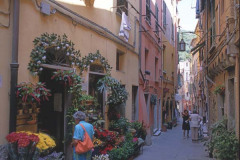 StreetFloristCinqueTerra