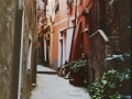 Cinque Terre Cat Waiting04