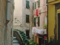 Cinque Terre Street03