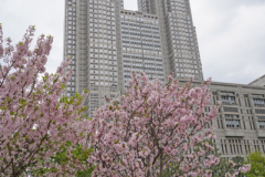 fDSC00221