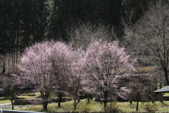 fDSC02656