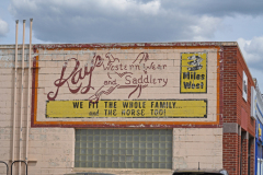 DSC03038