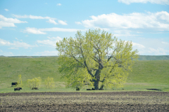 DSC03450