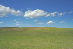 DSC03575
