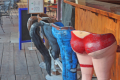 DSC03711