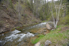 DSC04060