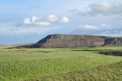DSC04216