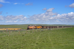 DSC04255