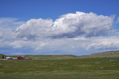 DSC04285
