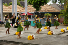 SONY DSC