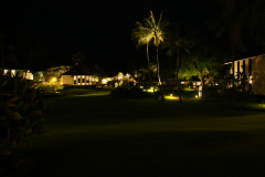 SONY DSC