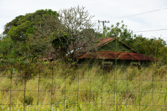 SONY DSC